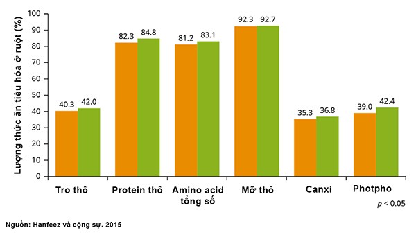 3-cach-nang-cao-hieu-qua-chan-nuoi-gia-cam