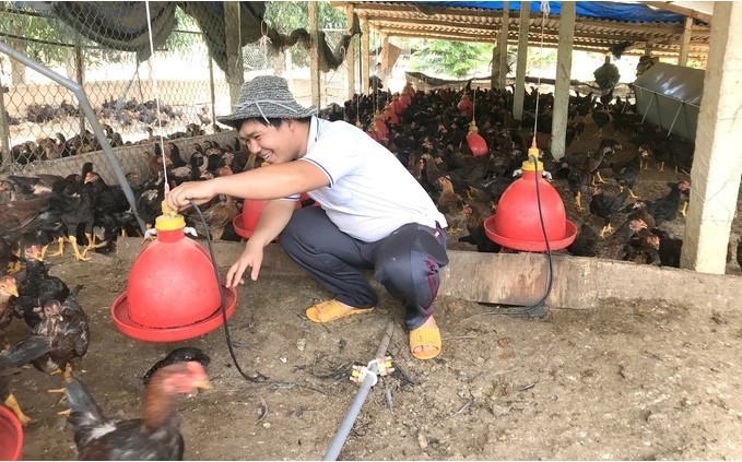 Cơ hội và thách thức của ngành chăn nuôi gia cầm