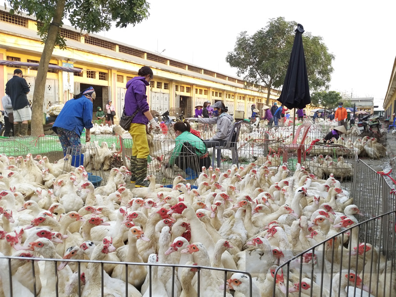 base64-1681550135118190999187