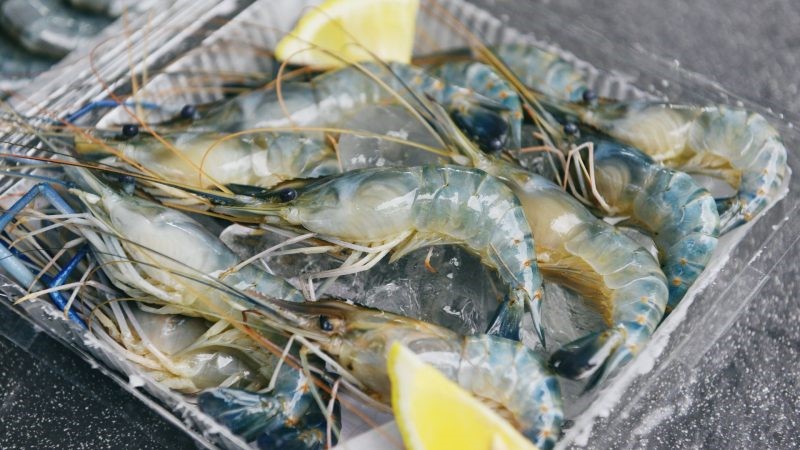 52-lo-hang-xk-sang-Trung-Quoc-bi-tra-ve-e1648442363584