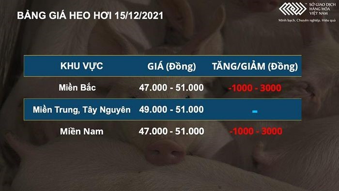 6244de6a6f288676df39