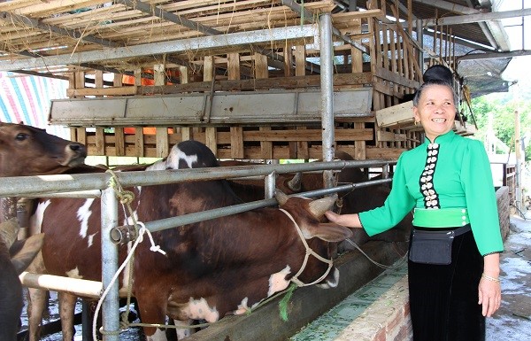 Giá sản phẩm chăn nuôi (giá tại trại) cả nước ngày 26/4/2022