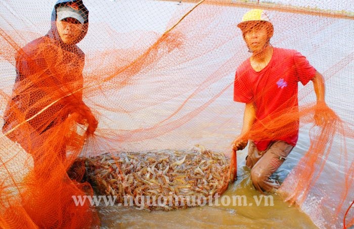 Anh-1-e1643273770769