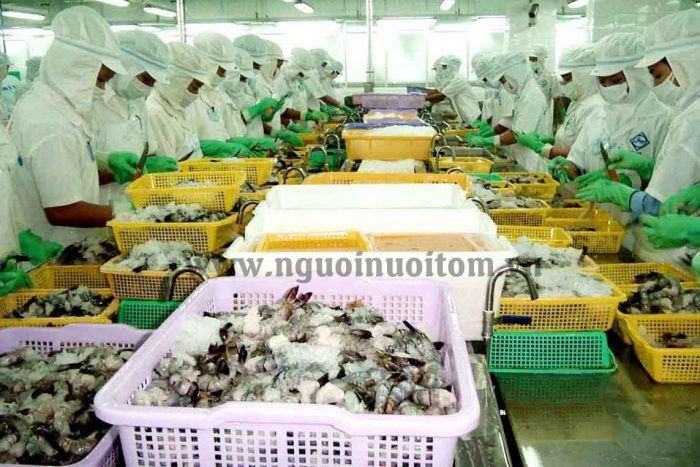 Anh-2-e1643273849847