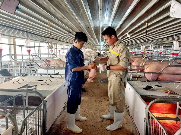 Chan-nuoi-cuoi-nam-2021