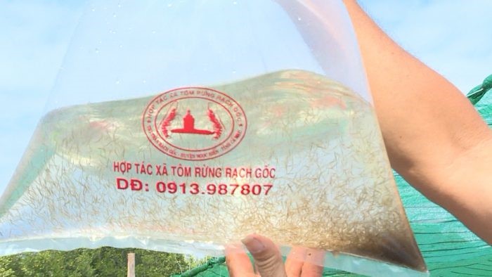 Con-giong-e1641960225813