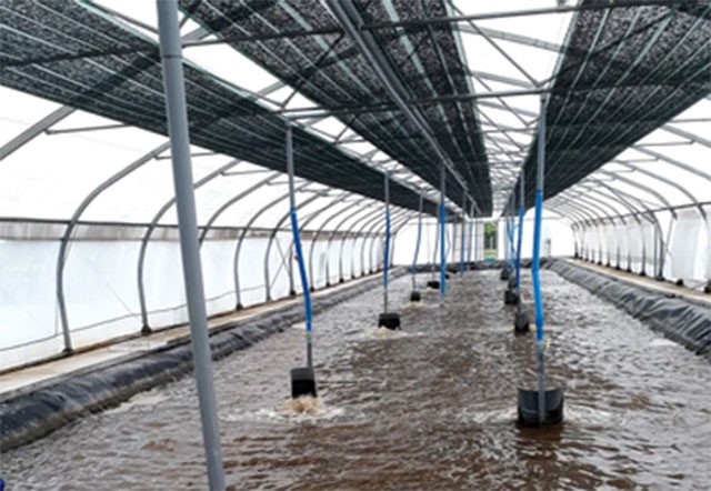 ContomXuan2020-home-5