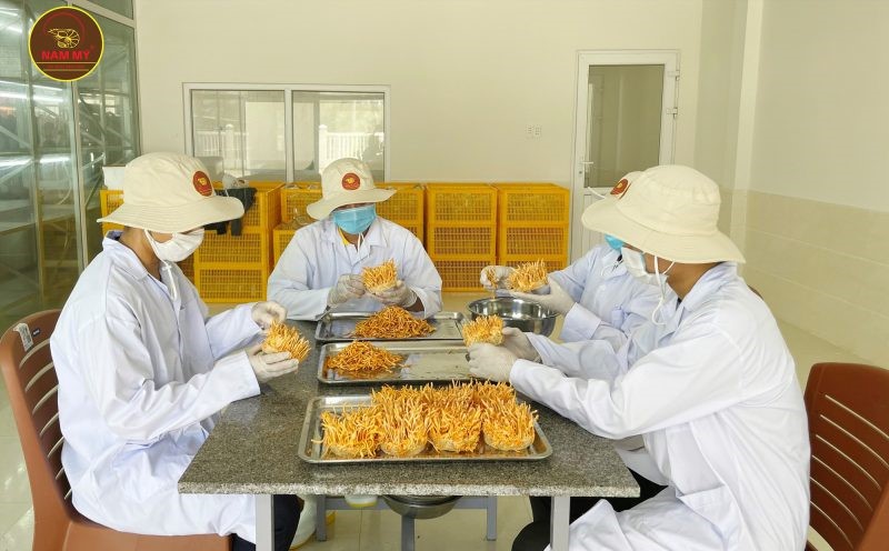 Dong-Trung-Ha-Thao-3-e1638167377648