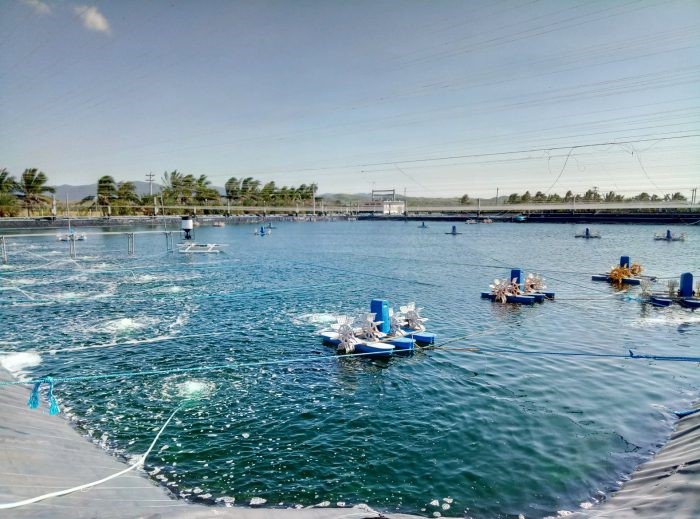 Gavin-Liang-1-e1632062306867