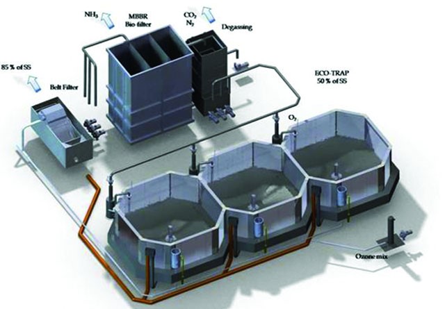 He thong tuan hoan RAS