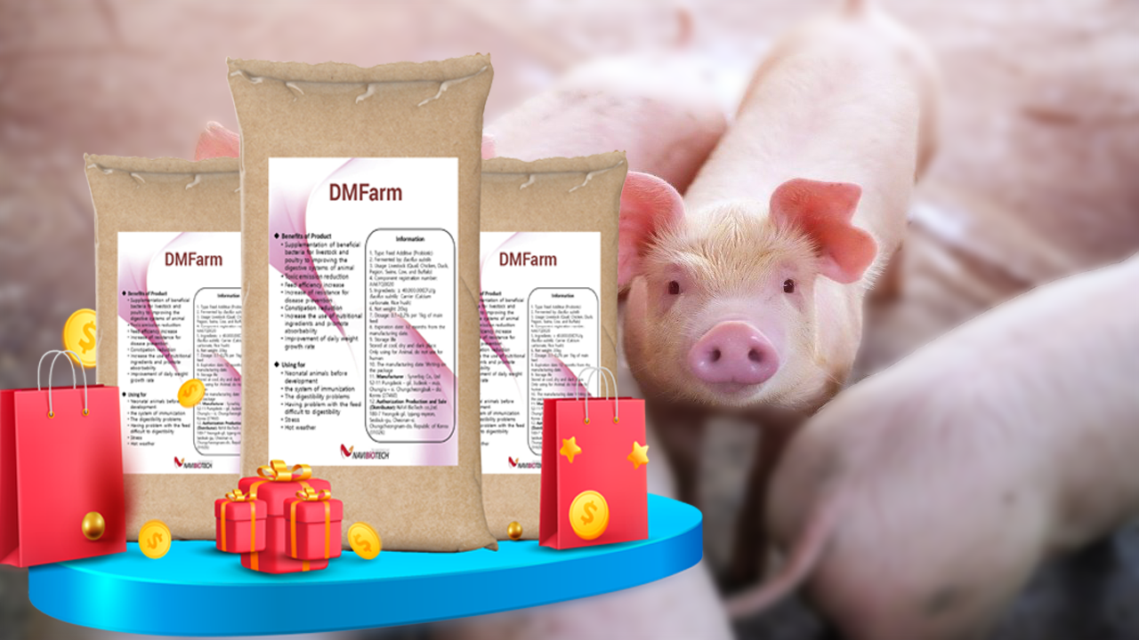 BAO GIỜ GIÁ HEO HƠI TĂNG TRỞ LẠI?