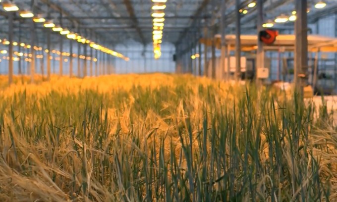 Lua-mach-set-2954-1634122209