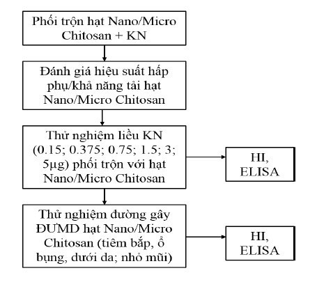 Sản xuất hạt nano chitosan làm tá chất cho vaccine cúm A/H5N1