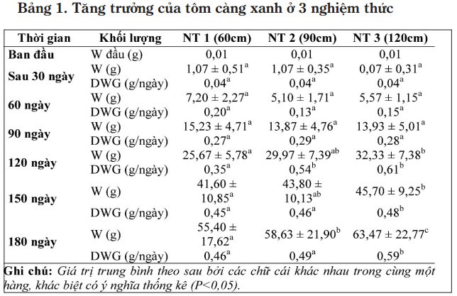 Mo-hinh-tom-cang-xanh-thich-ung-voi-bien-doi-khi-hau-03