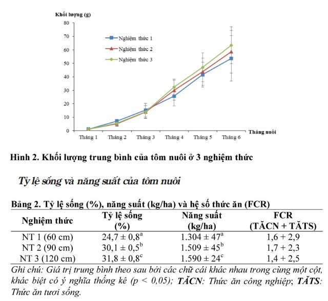 Mo-hinh-tom-cang-xanh-thich-ung-voi-bien-doi-khi-hau-06