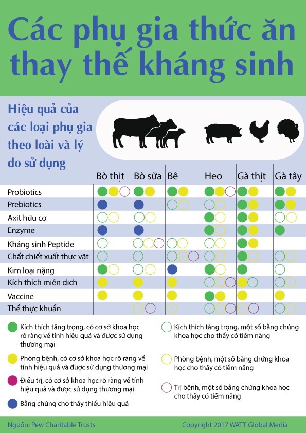 PHU-GIA-THAY-THE-KHANG-SINH-01