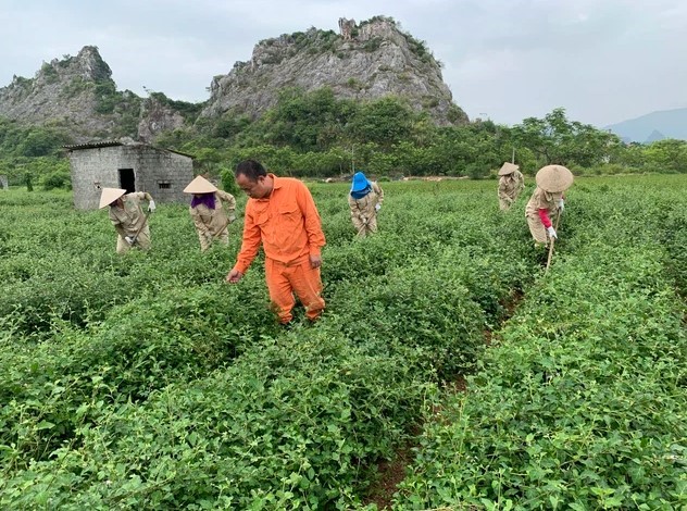 Screenshot 2022-05-09 115727