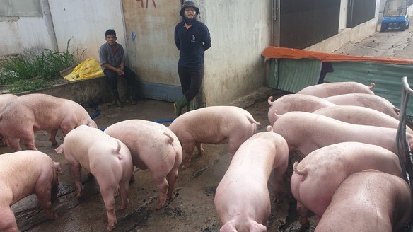 Screenshot 2022-05-16 112722