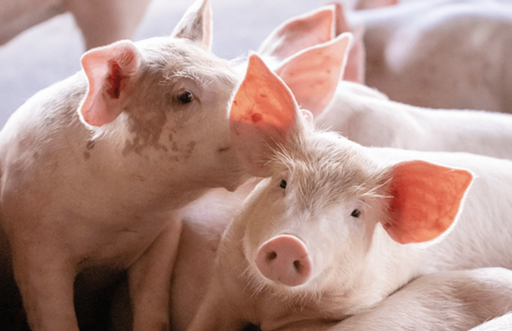 3 nguyên nhân gây tiêu chảy có liên quan đến dinh dưỡng