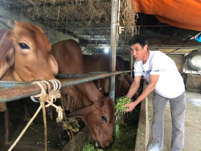 Tình hình chăn nuôi cả nước tháng 102021