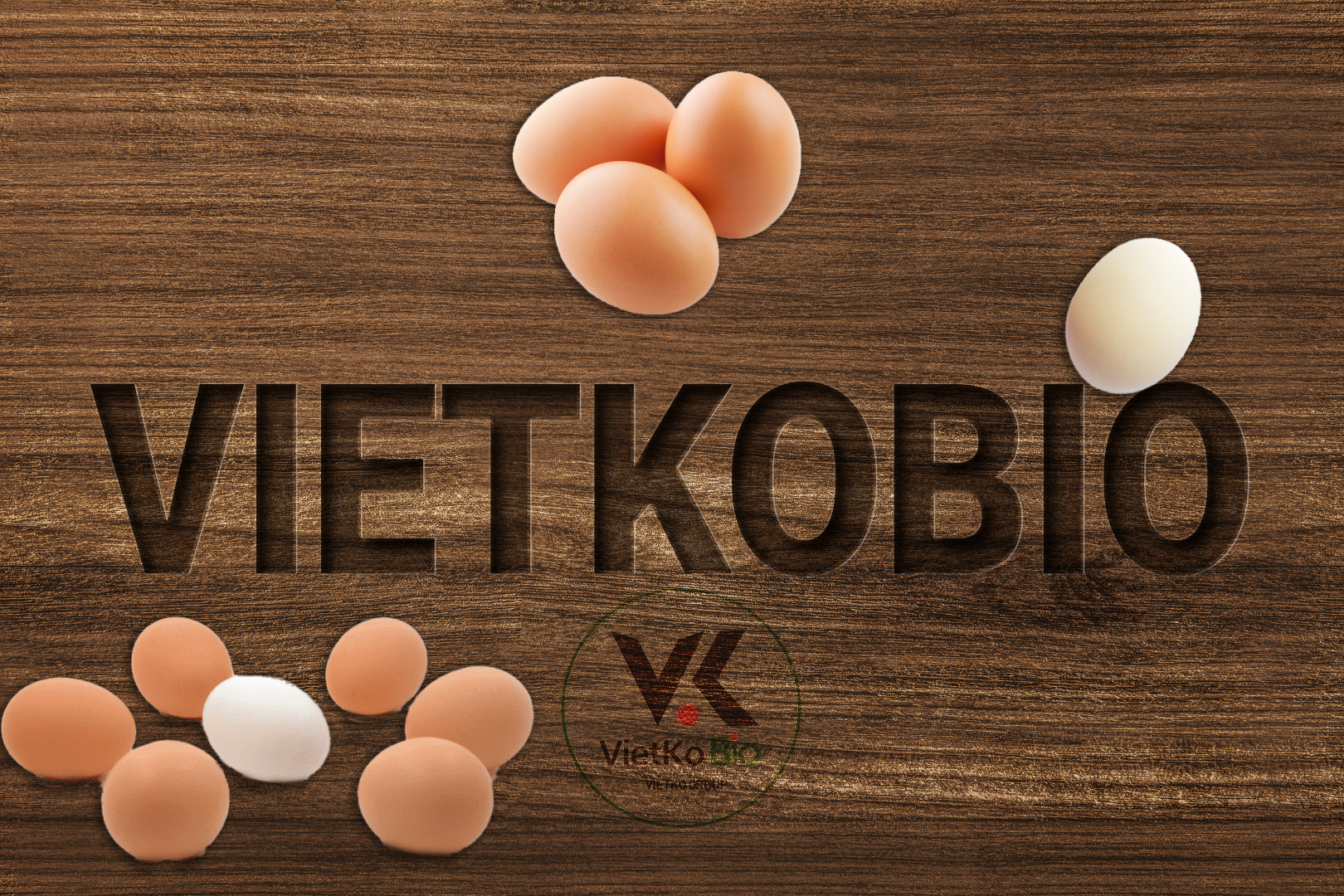 TRỨNG GÀ VIETKO