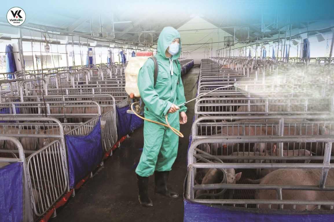 Cách sát trùng chuồng trại và những lưu ý khi sử dụng 2