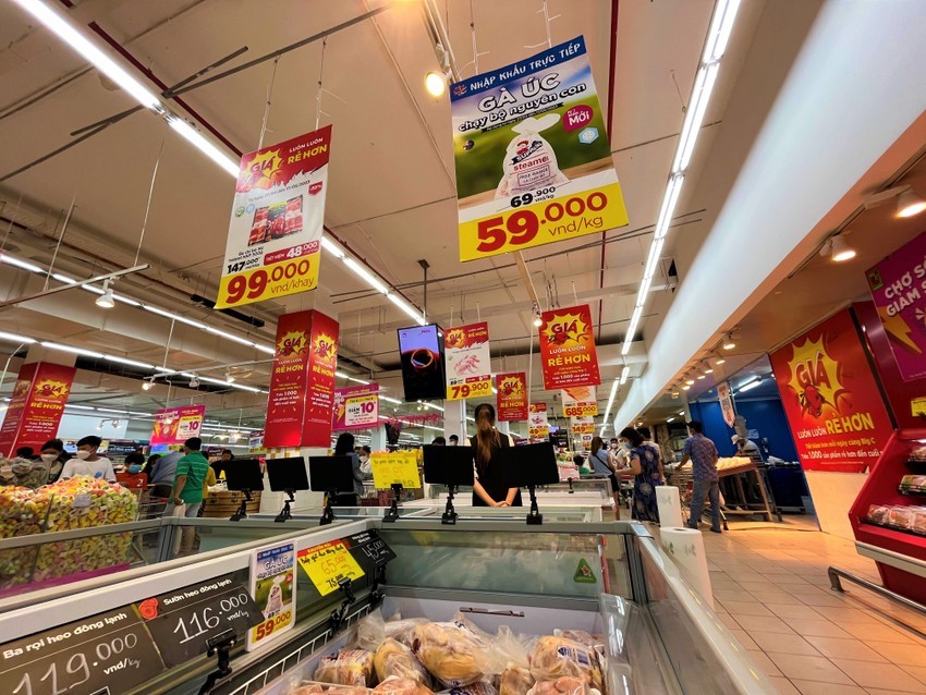 Gà ngoại giá rẻ đang giết chết gà trong nước 2