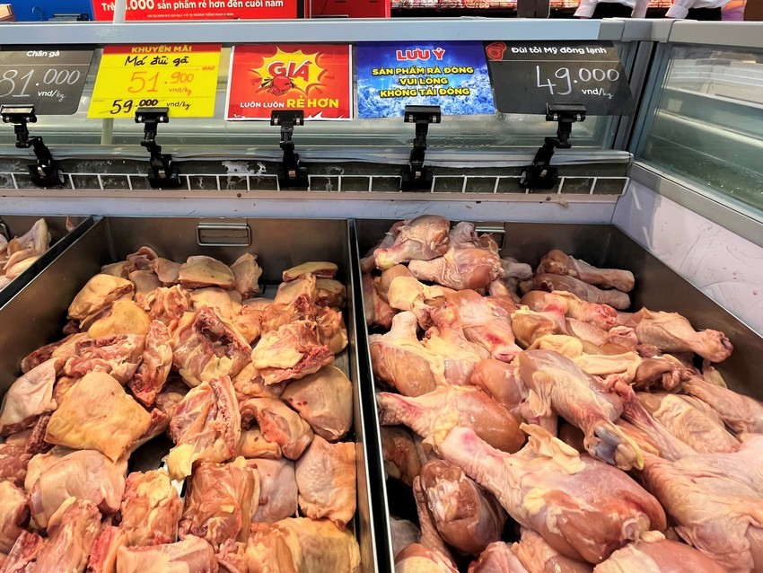 Gà ngoại giá rẻ đang giết chết gà trong nước