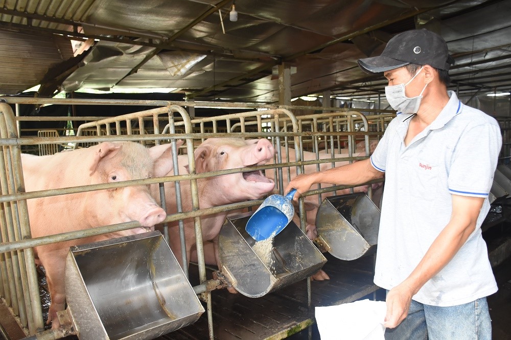 Giá thức ăn chăn nuôi giảm lần thứ 4 trong năm 2023