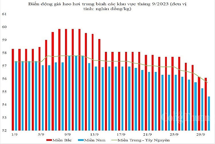 Giá heo hơi Khi nào kết thúc đà giảm giá