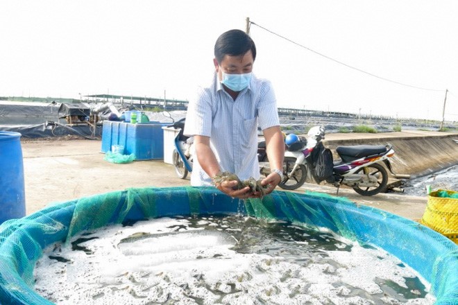 Thanh-cong-cua-vu-tom