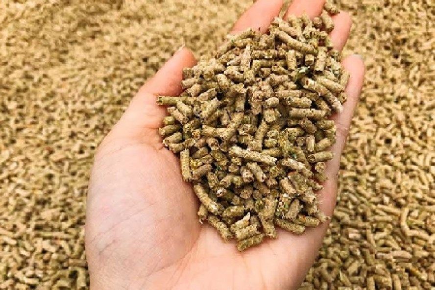 Thuc-An-Chan-Nuoi-hat