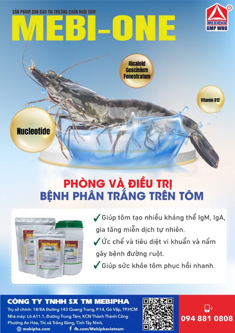 Trang-55-scaled-e1623829127660