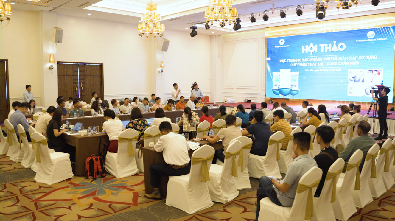 Giá thức ăn chăn nuôi chưa giảm