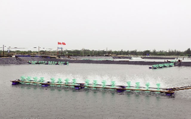 an-toan-nuoi-tom-mua-mua-lu