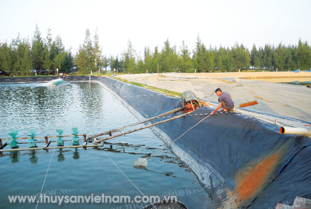 an-toan-nuoi-tom-mua-nong-02