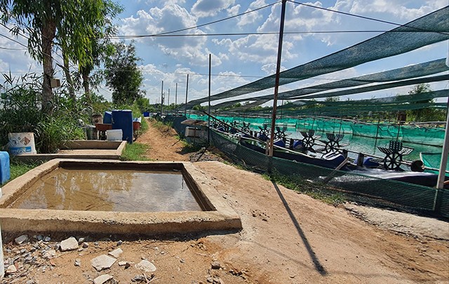 an-toan-nuoi-tom-skt-1