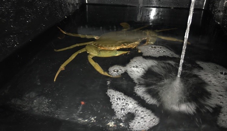 anh-cua-8848-1631519104