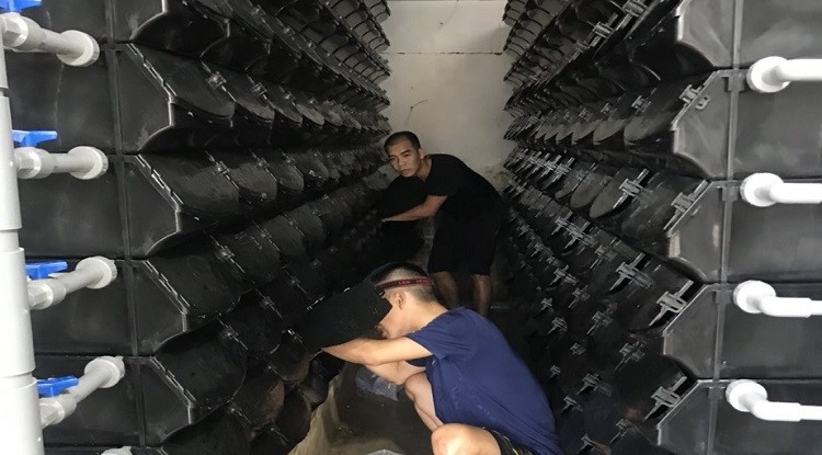 anh-ho-dan-cham-soc-9171-1631519104