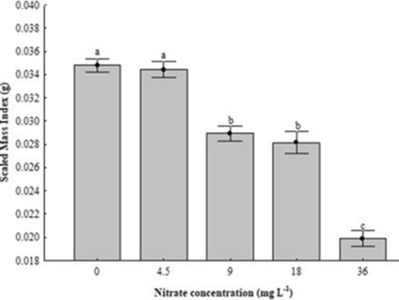 anh-huong-cua-nitrat-den-tang-truong-va-ti-le-song-cua-au-trung-tom-cang-xanh-2