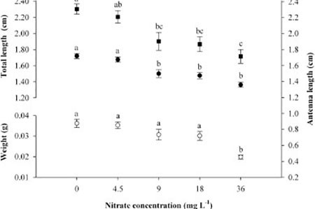 anh-huong-cua-nitrat-den-tang-truong-va-ti-le-song-cua-au-trung-tom-cang-xanh-3