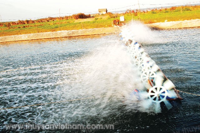 anh-huong-nh3-nuoi-tom-01