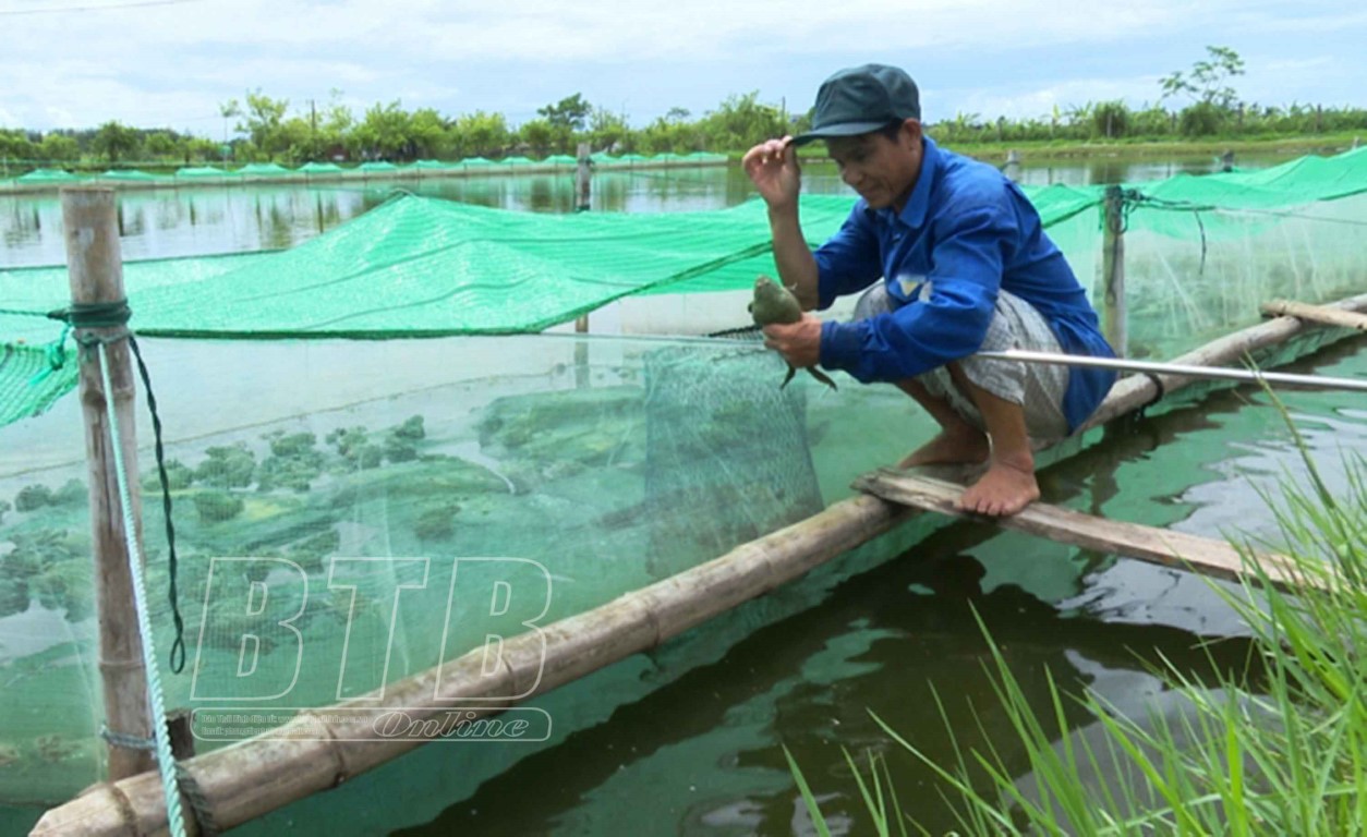 anhgiap_08173122092021