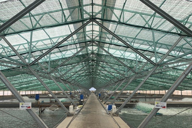 ao-nuoi-tom-1-e1645750456384