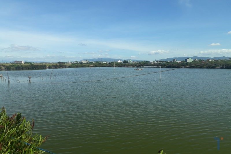 ao-nuoi-tom-e1645236838376