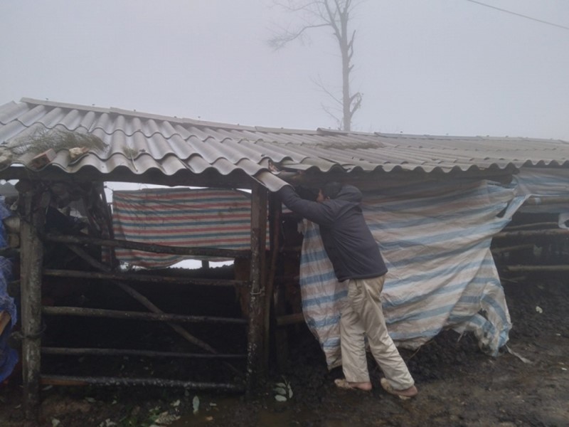 bao-ve-vat--nuoi-troi-lanh