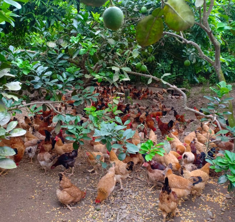 beta_601bd85377be99735da183e00abf105b