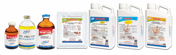 Bệnh dịch tả heo châu Phi và cách phòng ngừa hiệu quả nhất