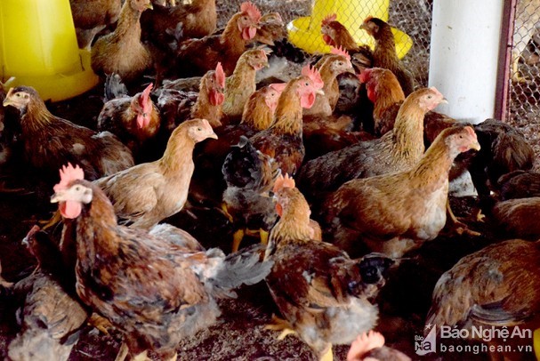 bna_ga_13655830_582021