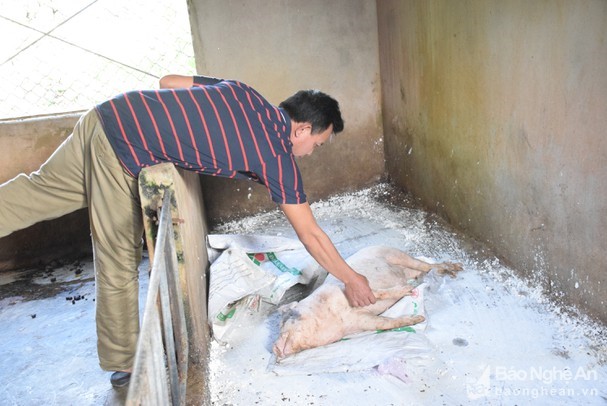 bna_lonj_32226329_1242022